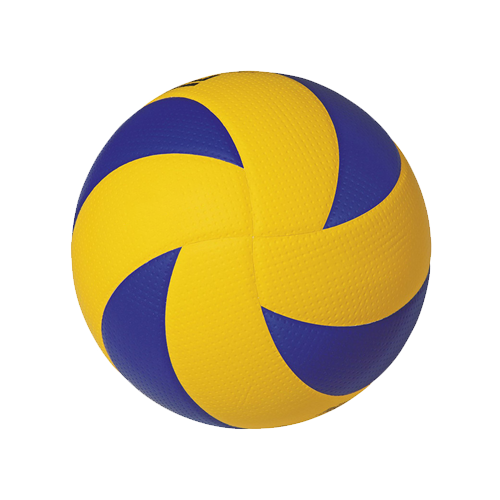 Volley Ball